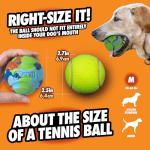 Chuckit! EcoFetch Medium Fetch Ball Dog Toy