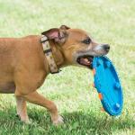 Chuckit! Whistle Flight Dog Fetch Toy, Orange/Blue
