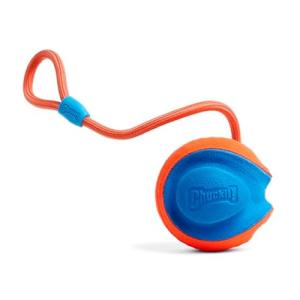 Chuckit! Rope Fetch Dog Toy - Tug & Toss Fun