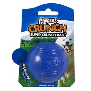 Chuckit! Crunch Ball Dog Toy for All Breeds