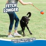 Chuckit! Rope Fetch Dog Toy - Tug & Toss Fun