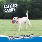 Chuckit! Rope Fetch Dog Toy - Tug & Toss Fun