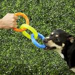 Nerf Dog 3-Ring Tug Toy for Medium/Large Dogs