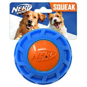 Nerf Dog Squeak Ball for Large Breeds