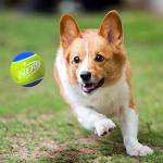 Nerf Dog Squeaky Rubber Tennis Balls - 2 Pack