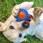 Nerf Dog Squeak Ball for Large Breeds