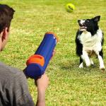 Nerf Dog Tennis Ball Blaster Fetch Toy Set