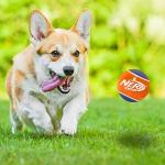 Nerf Dog Squeaky Rubber Tennis Balls - 2 Pack