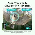 Birdfy 2 Smart Bird Feeder with AI Camera