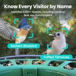 Birdfy 2 Smart Bird Feeder with AI Camera