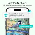 Birdfy 2 Smart Bird Feeder with AI Camera