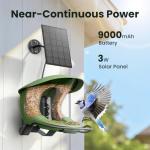 Birdfy 2 Smart Bird Feeder with AI Camera