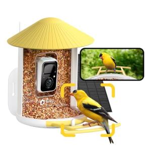Smart Bird Feeder with Camera and AI Identification