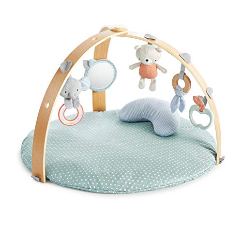 Ingenuity Cozy Spot Play Mat with Wooden Arch