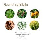 Thieves Household Cleaner 14.4oz by Young Living