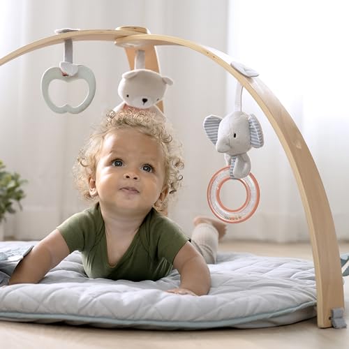 Ingenuity Cozy Spot Playmat with Wooden Arch