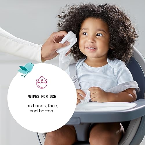 Mama Bear Water Baby Wipes - Hypoallergenic, 72 Count