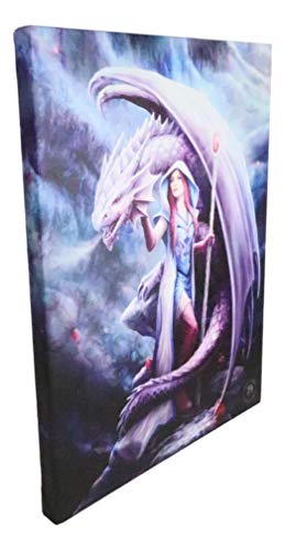 Anne Stokes Dragon Mage Canvas Wall Art