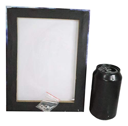 Anne Stokes Dragon Mage Canvas Wall Art