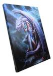 Anne Stokes Dragon Mage Canvas Wall Art