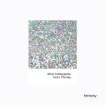 Biodegradable Silver Holographic Glitter - 100g