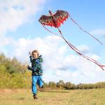 Mint's Colorful Life Easy Fly Dragon Kite