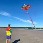 Mint's Colorful Life Easy Fly Dragon Kite