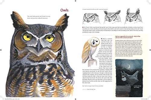 What It's Like to Be a Bird Guide