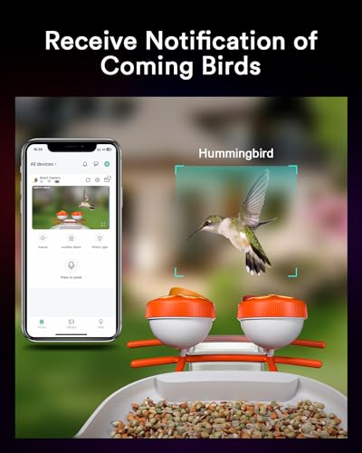 Bird Feeder Camera with Smart Motion Detection