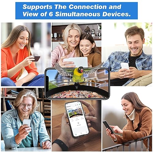 Solar Bird Feeder with Camera and AI Identification