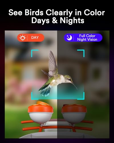 Bird Feeder Camera with Smart Motion Detection