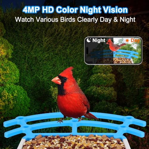 Smart Bird Feeder Camera with Solar Panel