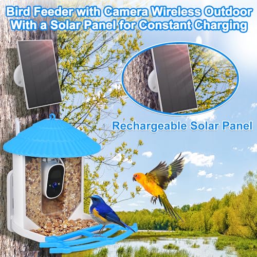Smart Bird Feeder Camera with Solar Panel