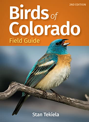 Colorado Birdwatching Field Guide
