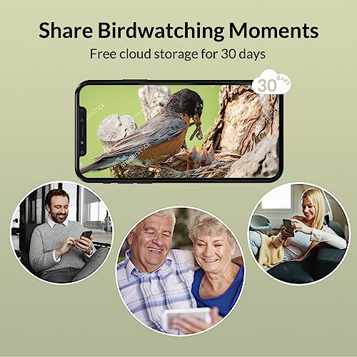 NETVUE Birdfy Lite Smart Bird Feeder Camera