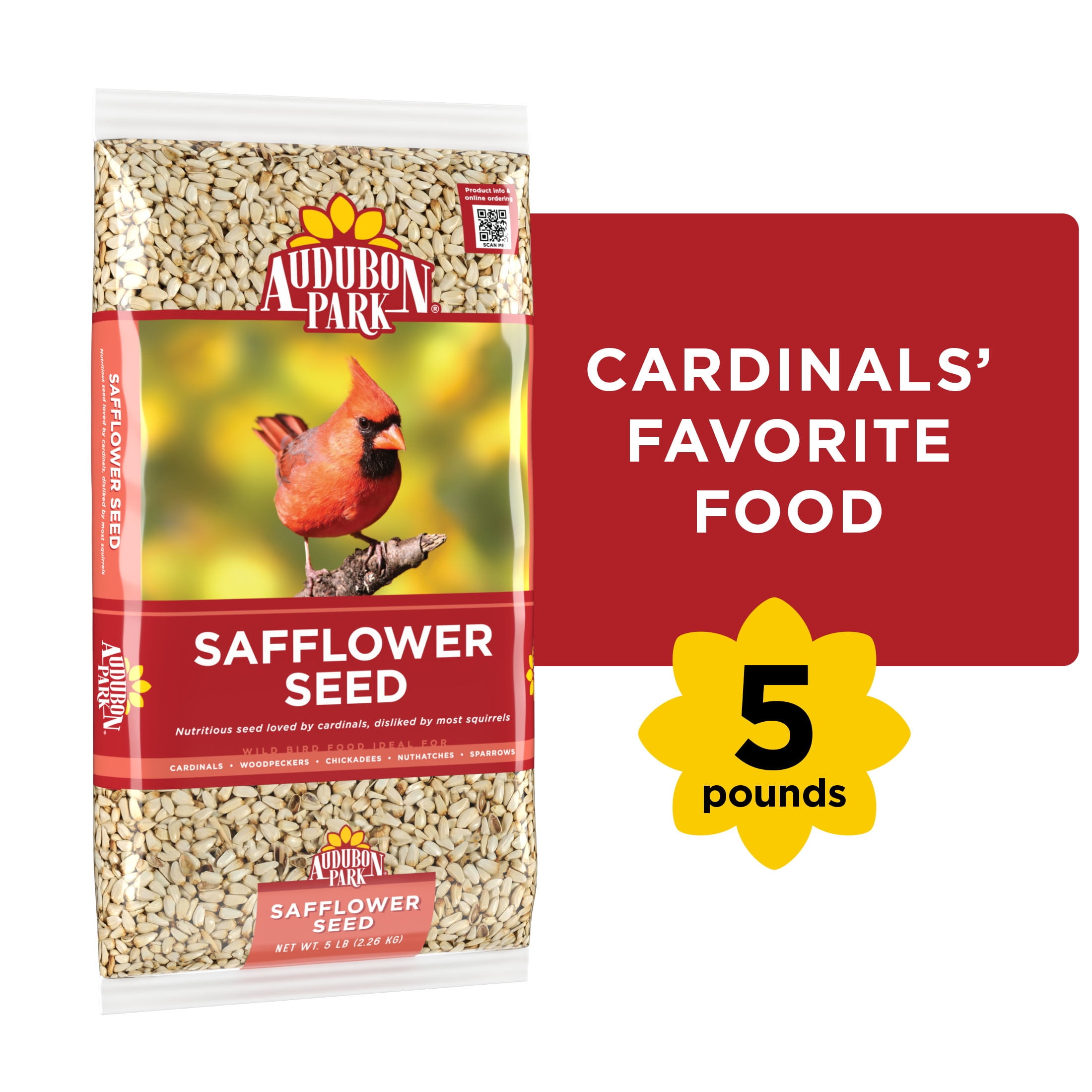 Audubon Park Safflower Seed Wild Bird Food, 5 lb