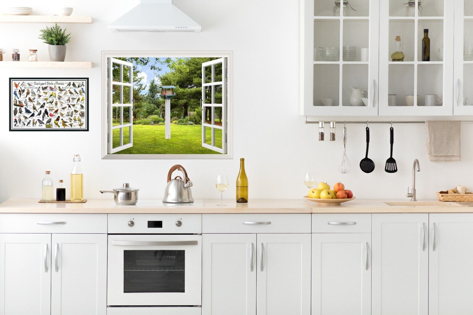 Florida Backyard Bird Identification Poster