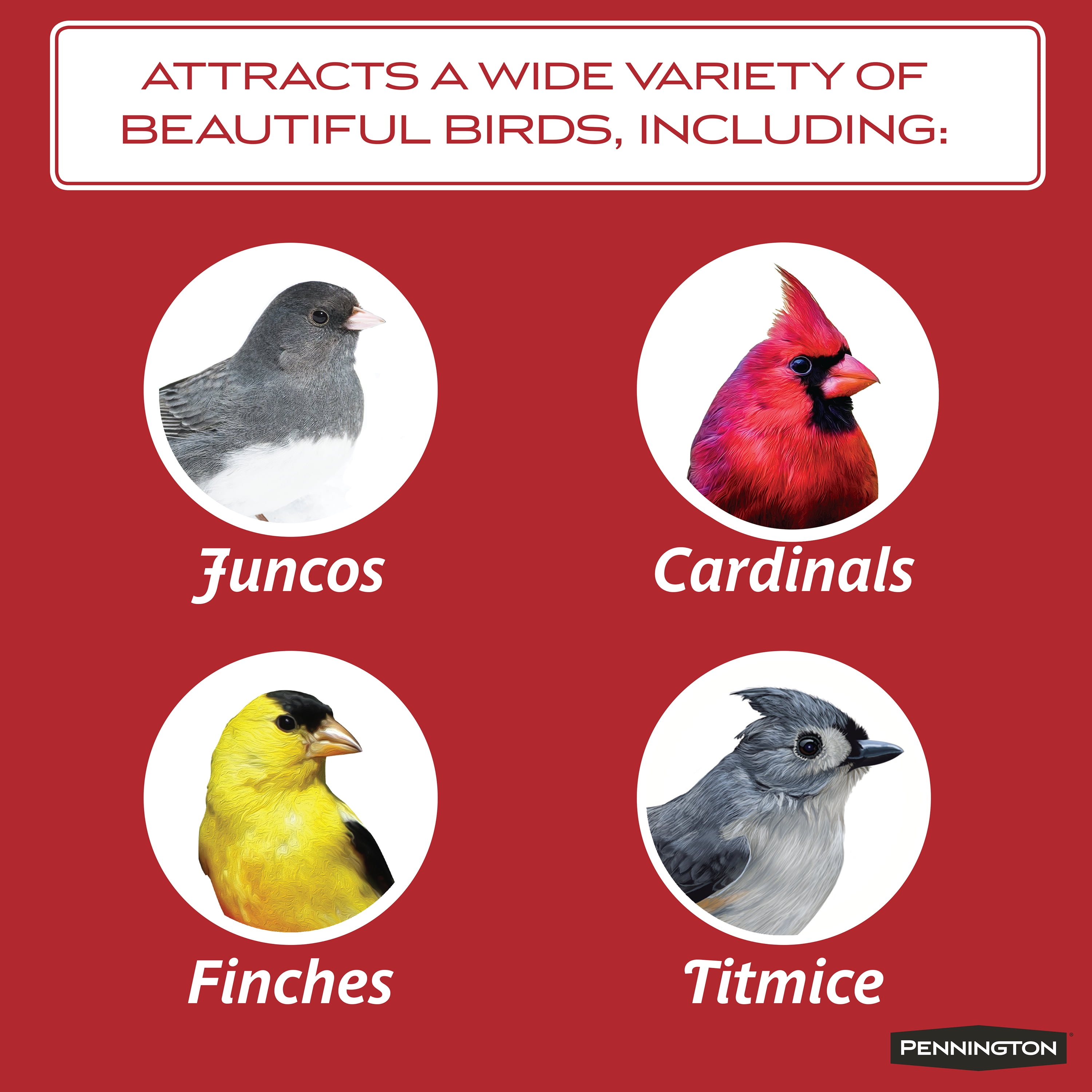 Pennington Black Oil Sunflower Seed Bird Feed 40 lb