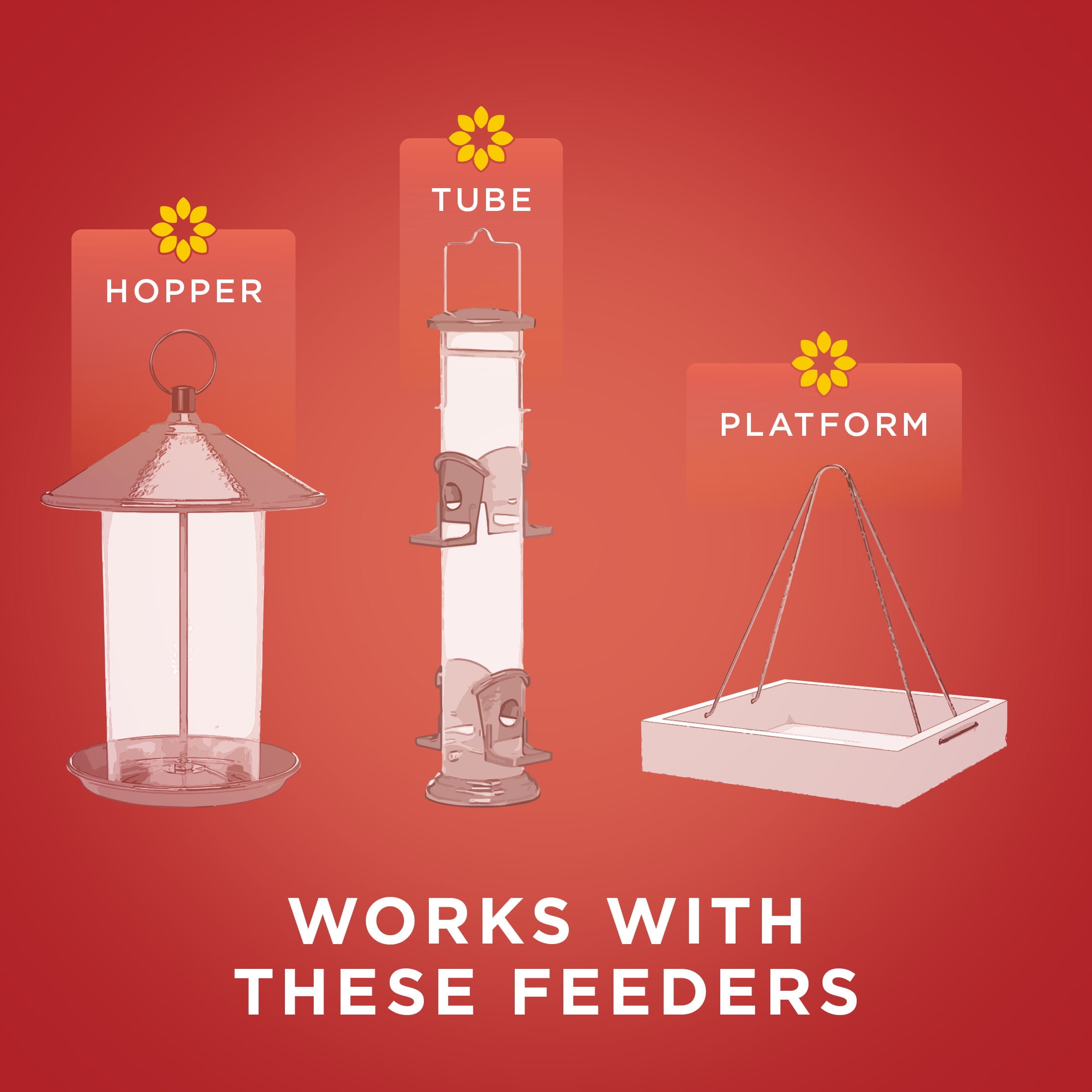 Audubon Park Safflower Seed Wild Bird Food, 5 lb