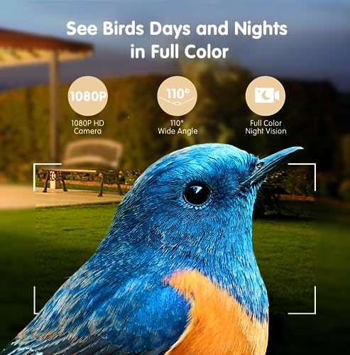 Wireless Bird Feeder Camera with Smart ID and Night Vision