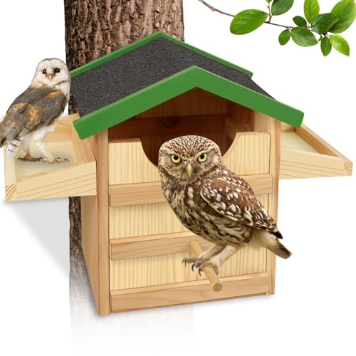 Wooden Screech Owl House with Bird Stand, 9 Inches