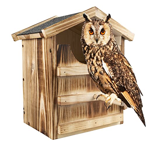 Large Owl House with Mounting Screws and Shavings