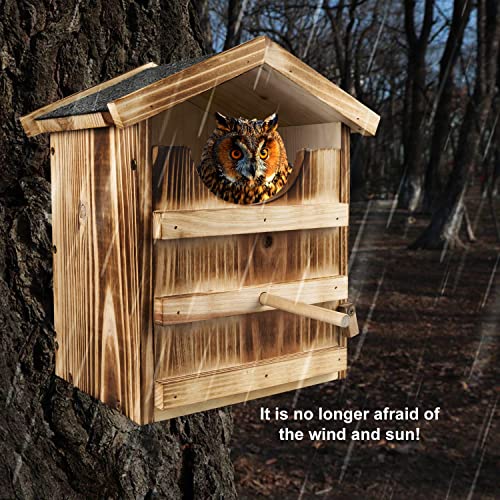 Large Owl House with Mounting Screws and Shavings