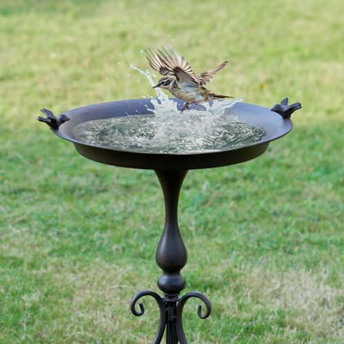 Large Metal Bird Bath - Garden Decor