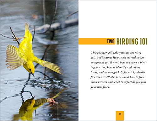 Beginner's Guide to North American Bird Watching
