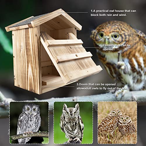 Large Owl House with Mounting Screws and Shavings