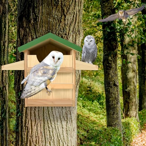 Wooden Screech Owl House with Bird Stand, 9 Inches