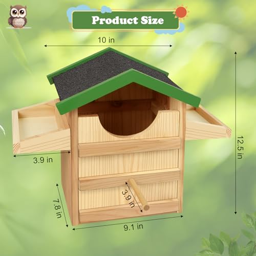 Wooden Screech Owl House with Bird Stand, 9 Inches