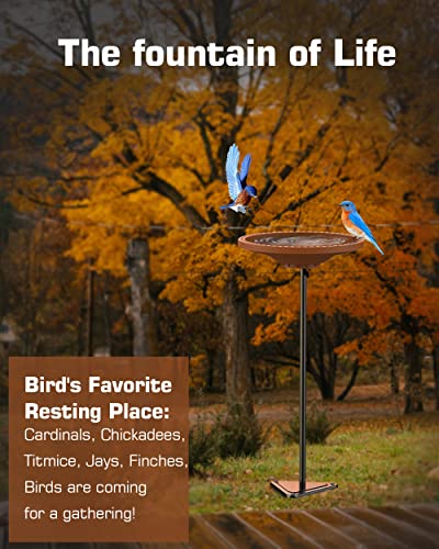 Freestanding Outdoor Bird Bath with Metal Stand