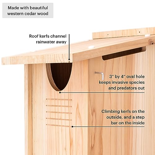 Large Cedar Owl House - Weatherproof Nesting Box